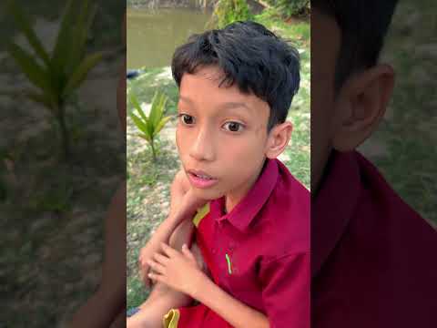 Cat & Rabbit heart touching moment 😭 #cat #rabbit #ytshorts #trending