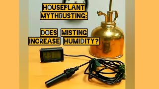 Houseplant mythbusting - Does misting increase humidity?