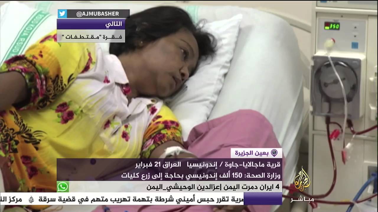 أكثر من ١٥٠ ألف إندونيسي بحاجة إلى زرع كليات