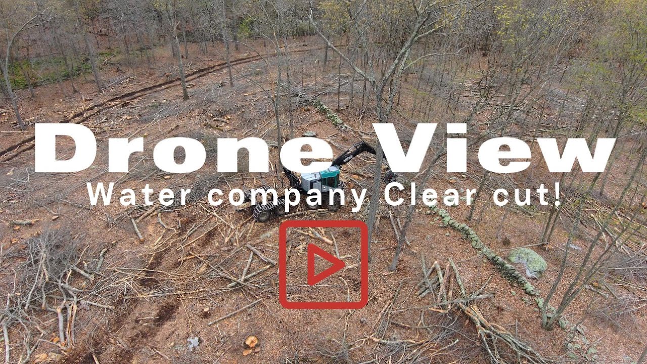 Drone View: Water Company Logging | TimberPro & Ryans DS28C Clearing Gypsy Moth Kill