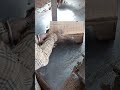 wooden cutting work