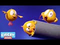 Where's Chicky? Funny Chicky 2021 | CHICKY BOOM | Chicky Cartoon in English for Kids