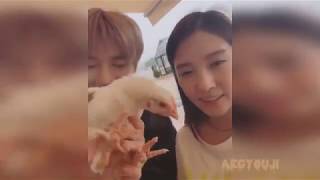 Taeyong and BoA attacked by a chicken