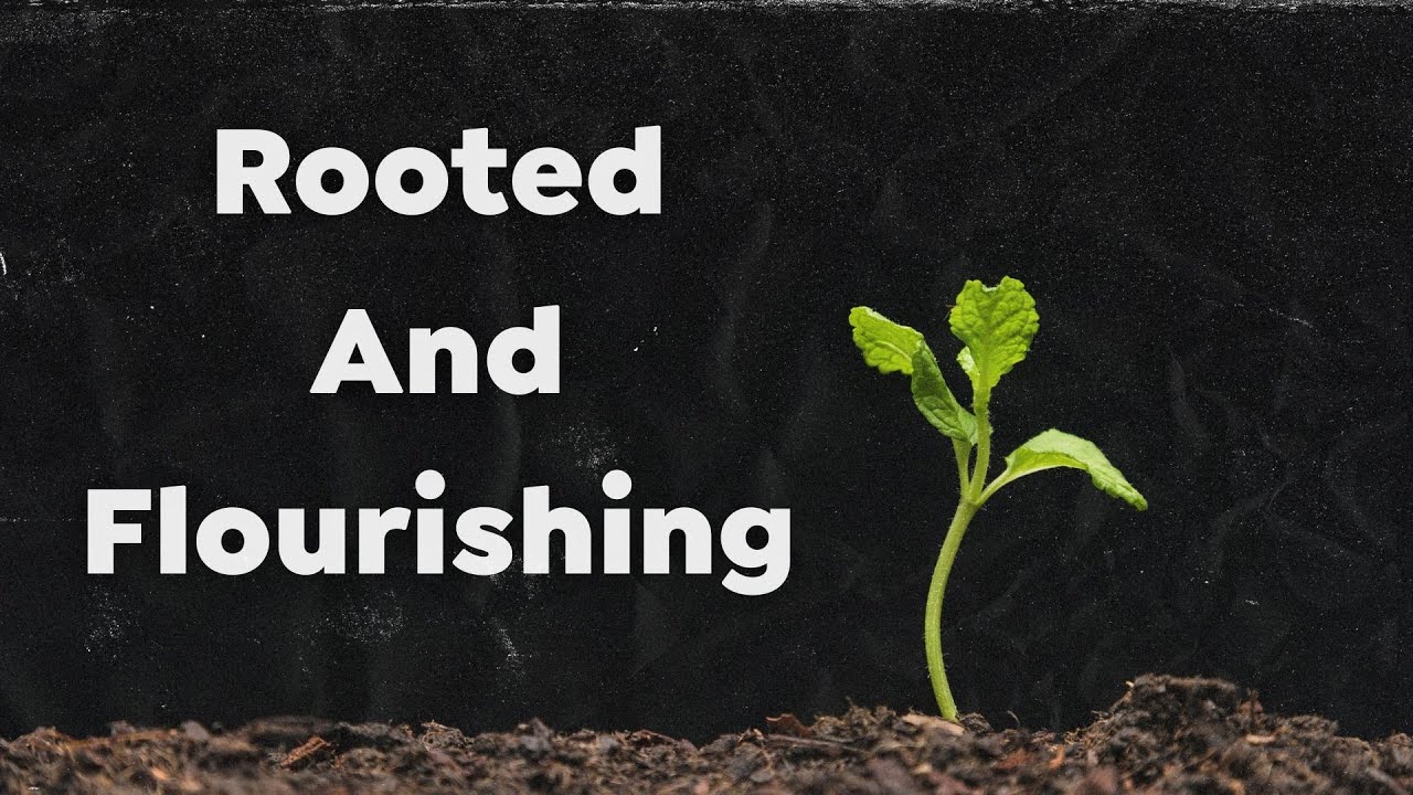 Truth-Telling or Wisdom?