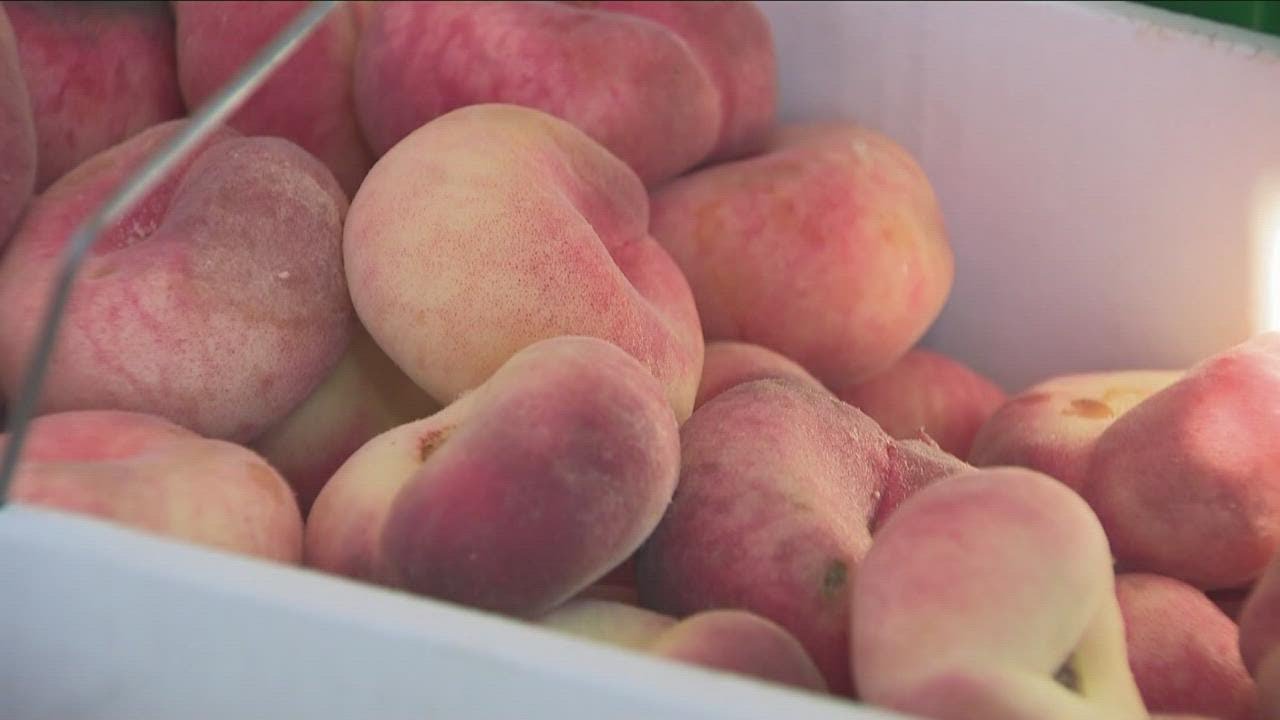 New Farmers Market At The Delavan Grider Community Center YouTube