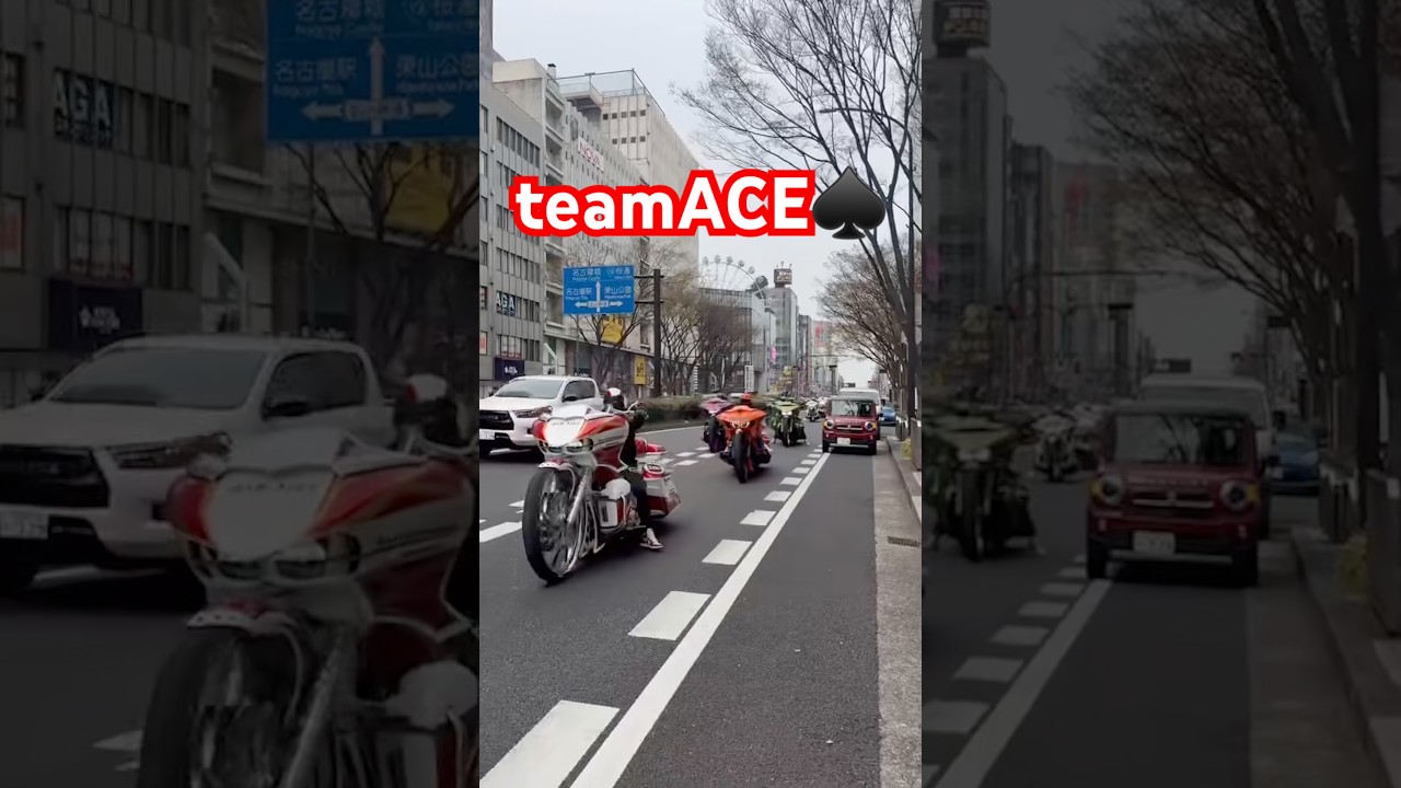 teamACE♠️ #HarleyDavidson #teamACE #ハーレー #shorts