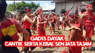 lihat aksi gadis dayak kebal senjata tajam pasukan merah tbbr