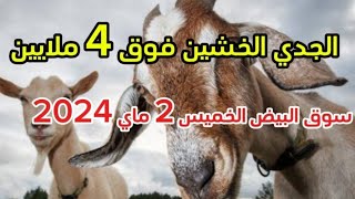 أسعار الجدي و الماعز اليوم من سوق البيض الخميس 2 ماي 2024