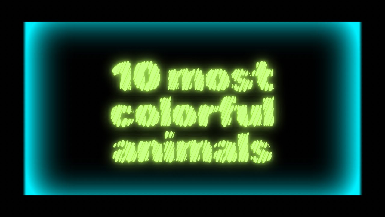 Top 10 Most Colorful Animals in the World 🌈🦋 | Ranking & Facts