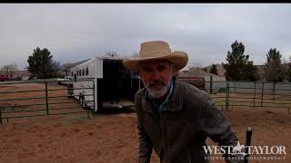 Liberty Trailer loading Wild Mustang