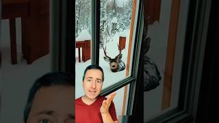 When it snows TOO MUCH ❄️