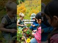 Survival Skills: The Importance of Nature Education