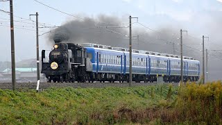 電気機関車EF65（13）＆ 蒸気機関車SL（22）　～「SL北びわこ」の記憶　日曜日のEF65・C56全列車～　※ホイッスル・汽笛・走行音注意