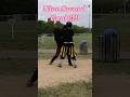 Nice aword grab! #hema #combatsport #swordfighting #martialarts #feder