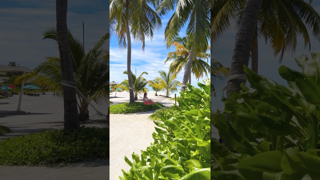 Just you, me, and the palm trees 🌴 Wod you stay here? 