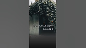القارئ : يوسف العيدروس  سورة البقرة