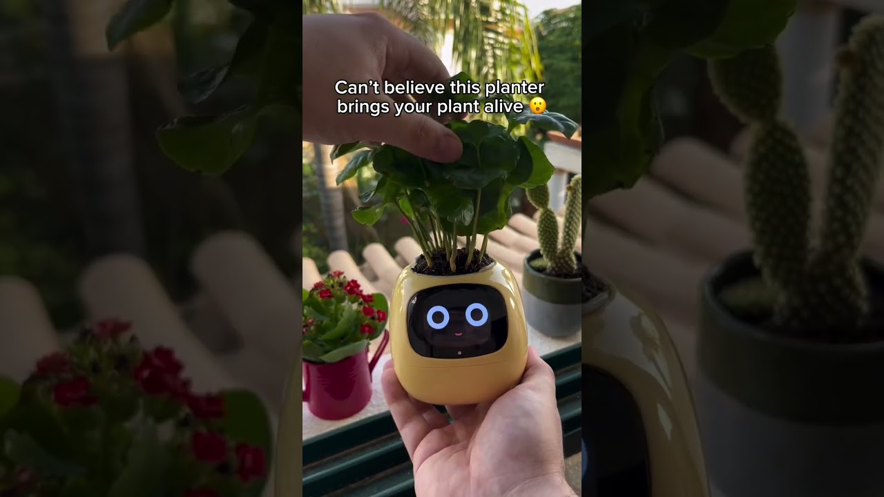 AI Smart Planter: The Future of Indoor Gardening 