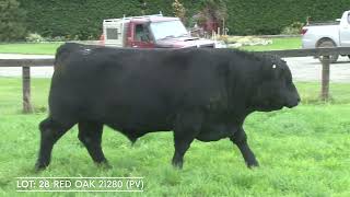 LOT 28 RED OAK 21280 PV