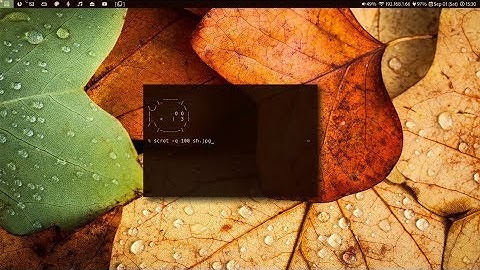 Why is OpenBSD slow after a shutdown (but very fast after rebooting)? [question for developers]