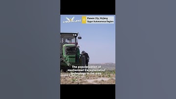 Mechanized pepper transplantation helps farmers in NW China