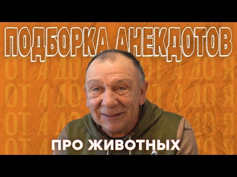 Подборка анекдотов про животных