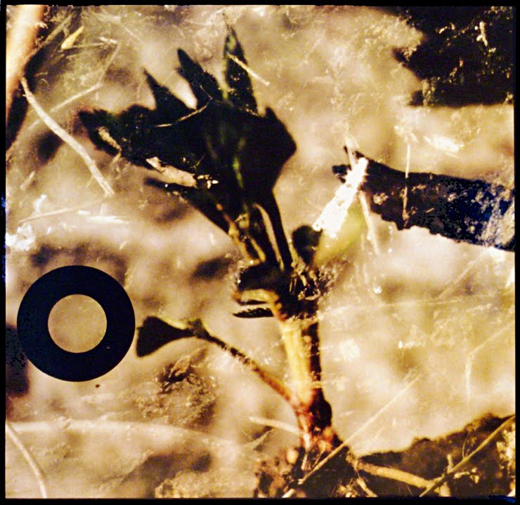 :zoviet-france:  - White Dusk