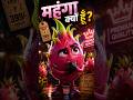 ये फल इतना महंगा क्यों होता है Dragon Fruit #dragonfruit #fruit #healthtips #youtubeshorts #asmr