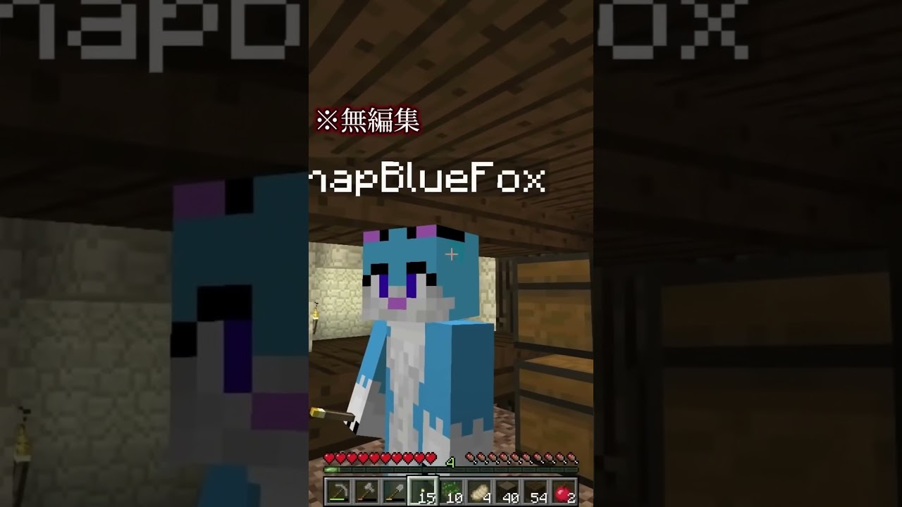 【マイクラ都市伝説】恐怖の血のエンダーマンが恐ろしすぎた