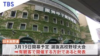 センバツ高校野球、日本高野連 観客を入れて開催へ