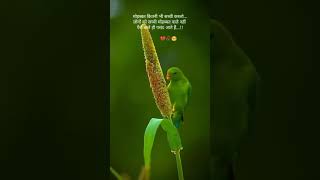 With Traveling Culture