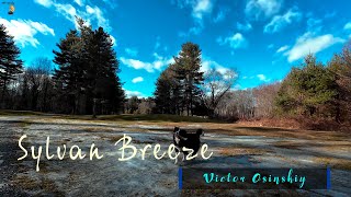 Sylvan Breeze 2025  Orchestral Nature Suite  51 Surround