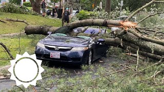 Severe thunderstorms carve path of damage through the mid-Atlantic | AccuWeather