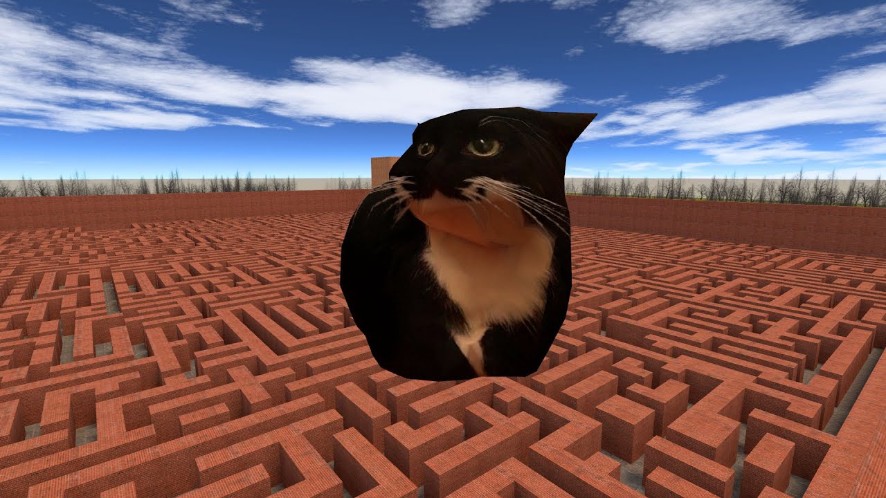 Maxwell Cat Maze in Garry Mod( Gmod Nextbots ) !!! - YouTube