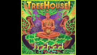 TreeHouse! - Feelin' Irie - Lifted chords