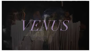 Venus to Earth (The Souls That Came From Venus) | Gigi Young Profile