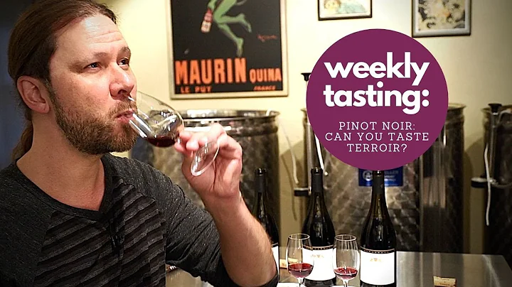 Can you Taste Terroir? Wine Tasting Like a Pro Wit...