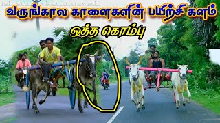 புதுக்கோட்டை (மா) கொன்னகாடு  பந்தயம் 07/11/2021 Konnakadu Panthayam krish rekla race screenshot 5