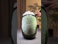 You Won’t Believe This Terrarium Lamp Exists…
