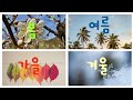 유튜브 1년.1 عام على موقع يوتيوب.YouTube for a year. Youtube trong 1 năm. Youtube trong 1 năm.