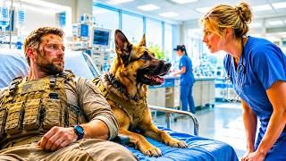 A Retired SEAL Let Nobody Near His Dog — Until the Nurse Knew the Secret Command