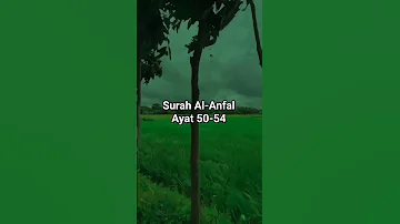 Surah Al Anfal Ayat 50 54 Urdu Translation Islamicreel Ytshortsvideo Islamicshortvideo Quranurdu 