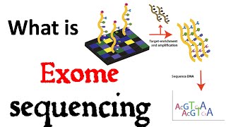 Exome sequencing