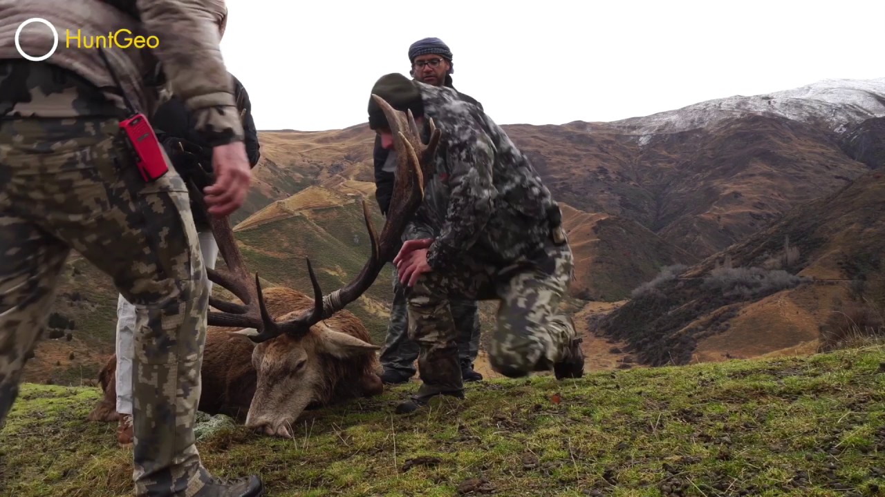 New Zealand amazing hunting trip YouTube