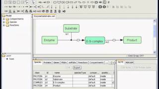 1 Installation of CellDesigner English