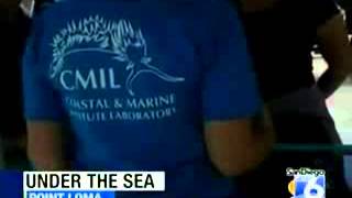 SDSU Marine Lab Open House 2013 Featured on XETV San Diego