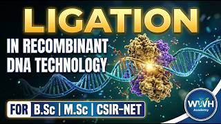 Ligation in Recombinant DNA Technology | DNA Ligase &amp; Mechanism (Hindi)