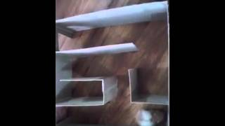 Pezoncito A Prueba I