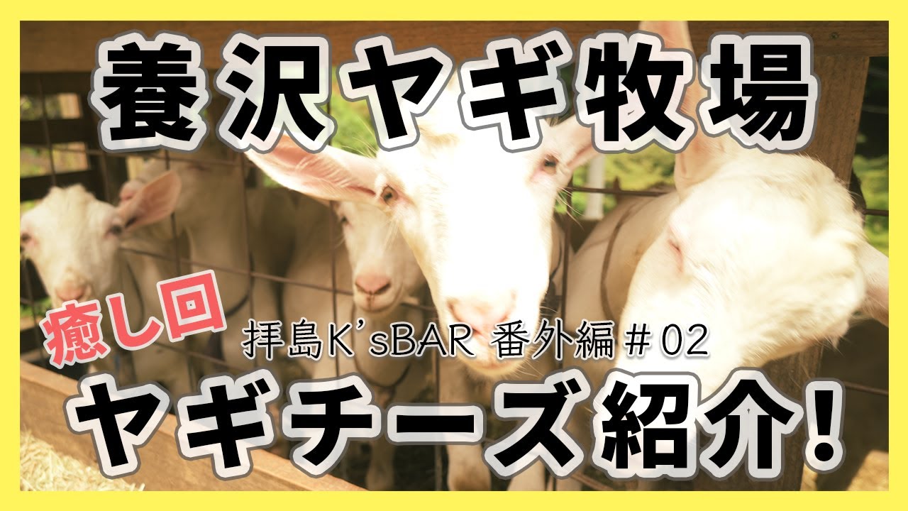 養沢ヤギ牧場のヤギチーズ ロケ行ってきました！｜番外編＃2