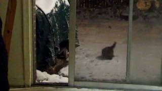 DSCF5243.AVI