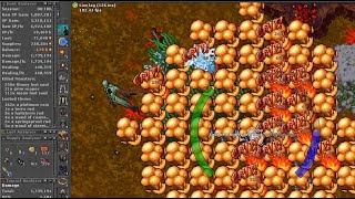 Venore Lost Souls (Brain Grounds) ~ SOLO MS 482 ~ 6.3kk raw xp/h